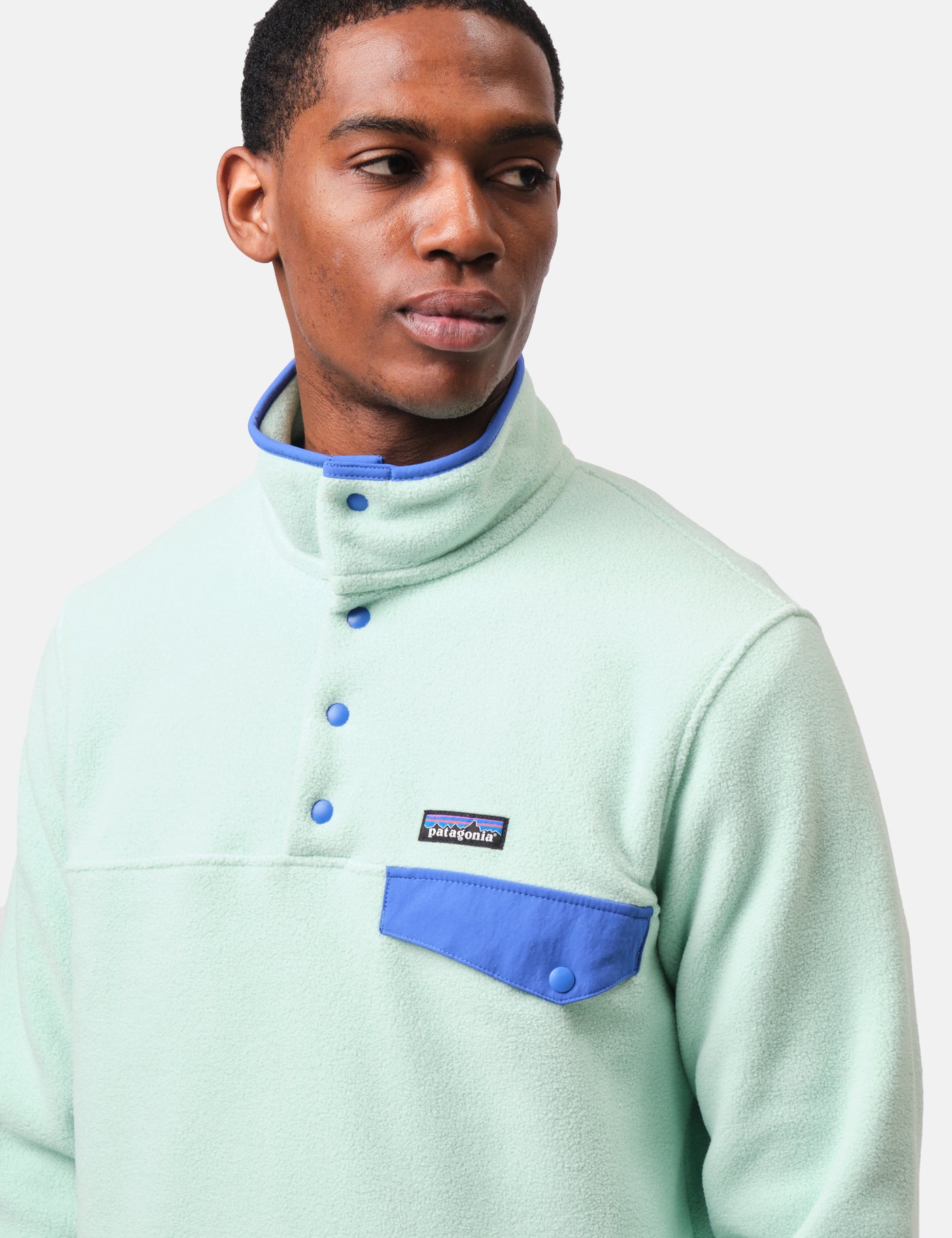 邦楽 think Patagonia LW Synch Snap-T Pullover - Rinsed Green | Urban Excess