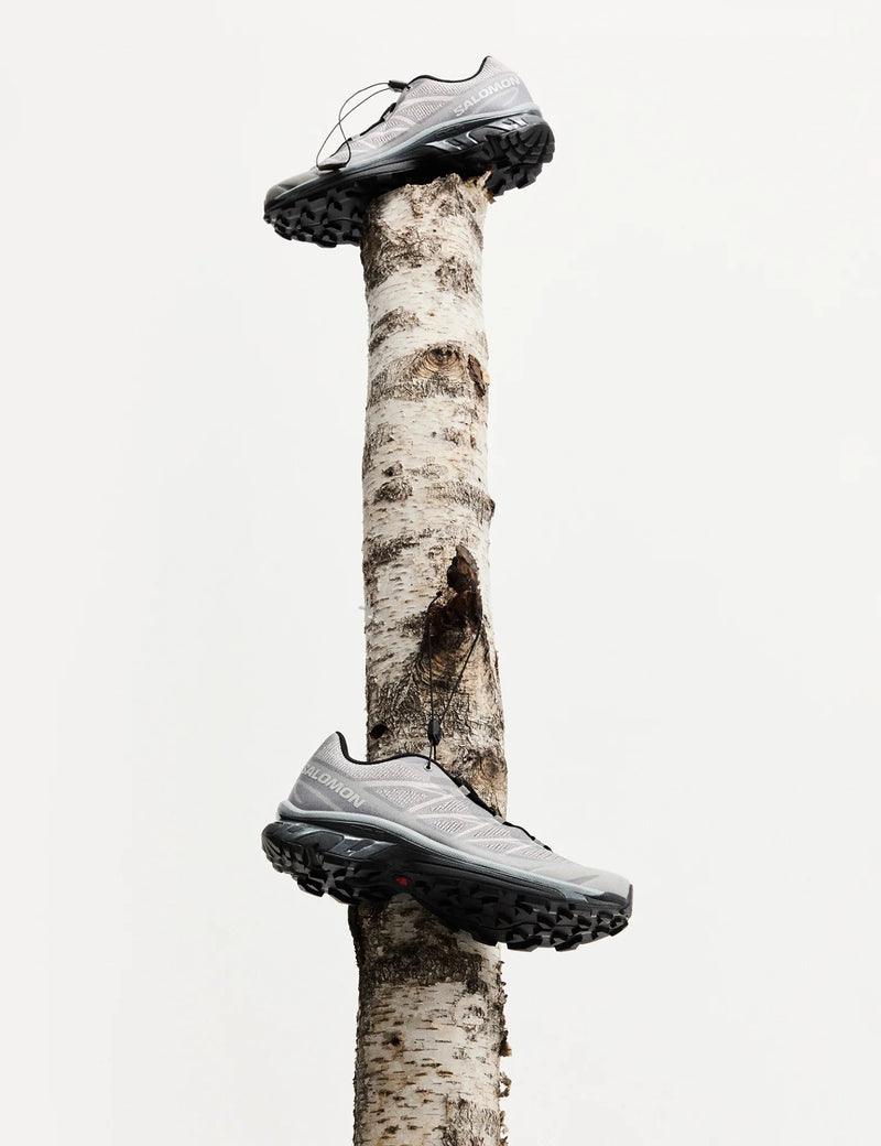 Salomon XT-6 Shadow Trainers -  Gull/Gray Violet/Quarry
