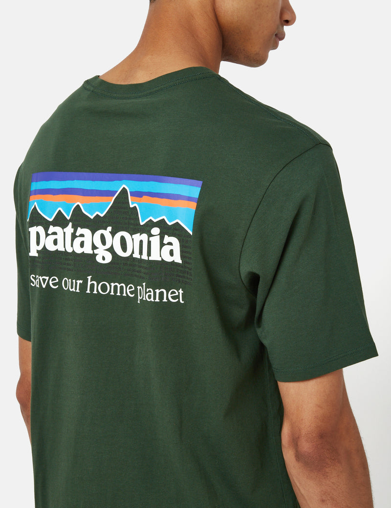 patagonia 40% OFF PATAGONIA Home Waters Organic T-Shirt