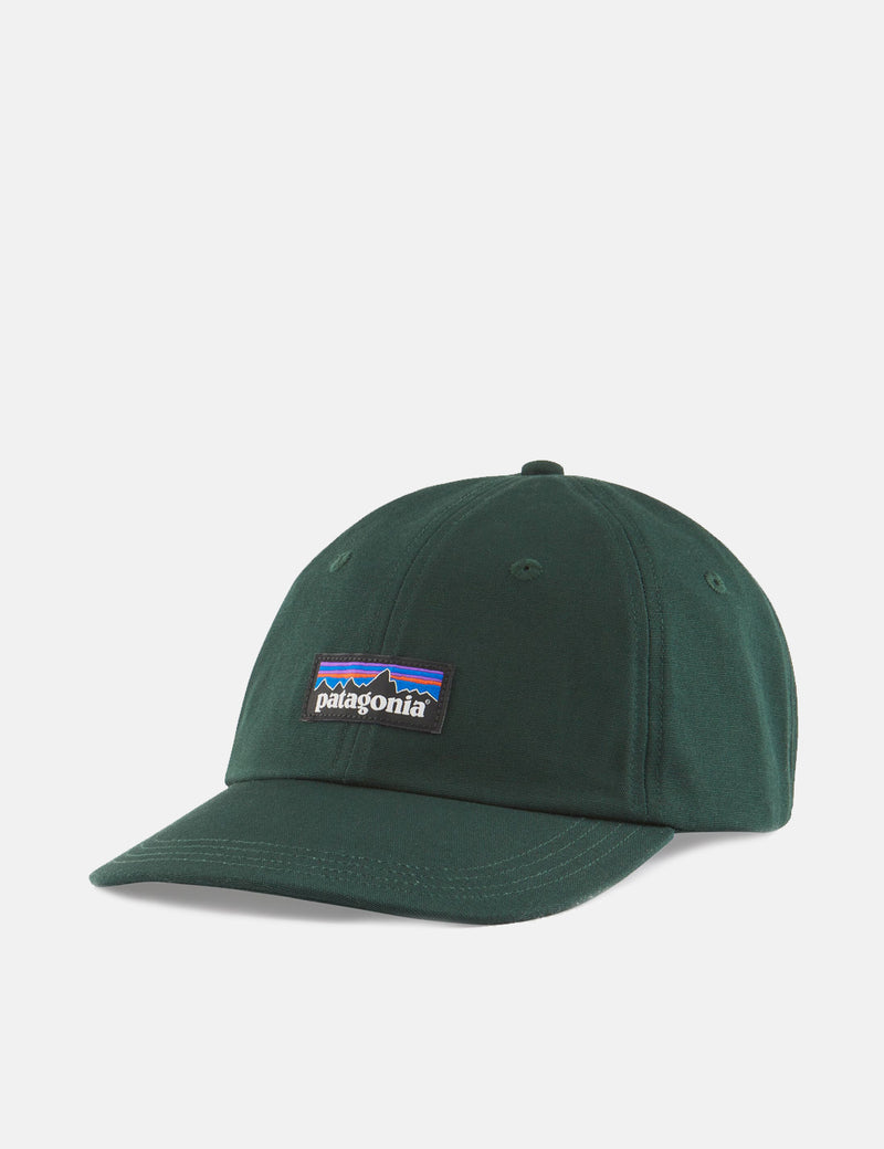 Patagonia P-6 Label Trad Cap - Northern Green