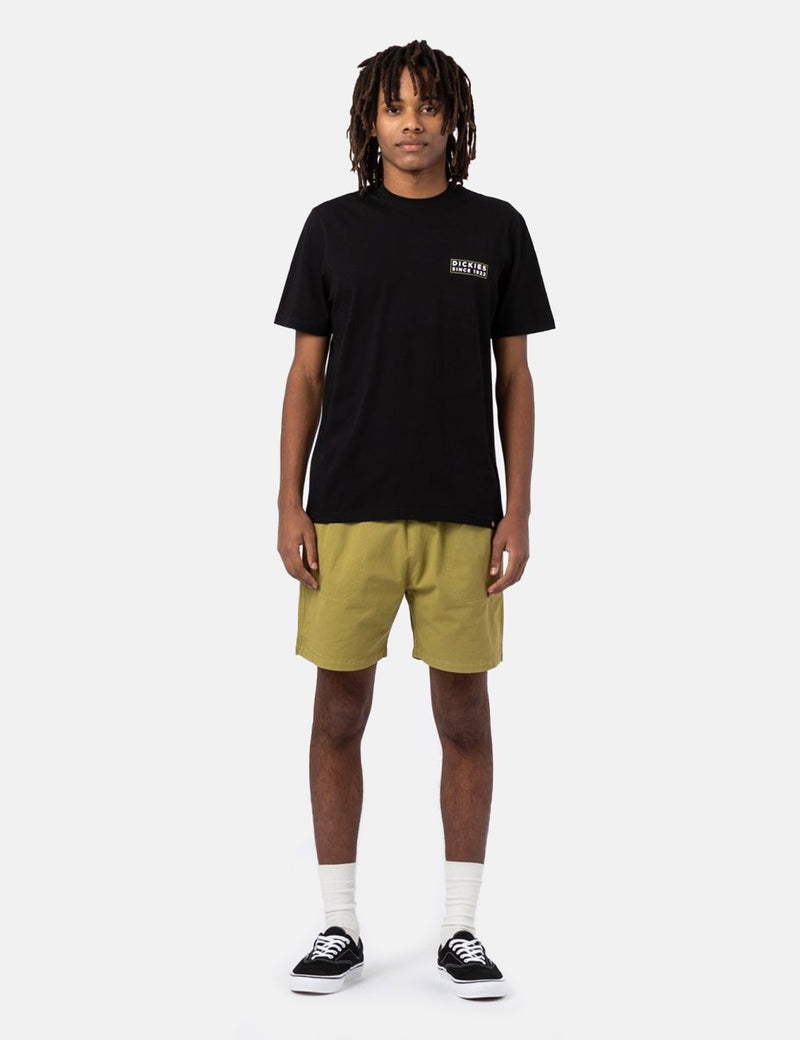 Dickies Pelican Rapids Shorts - Green Moss