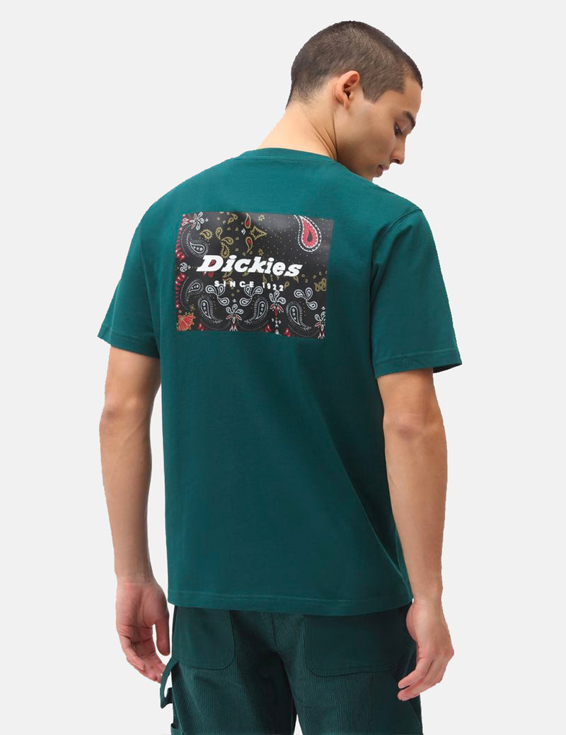 Dickies Reworked T-Shirt - Ponderosa Pine Green