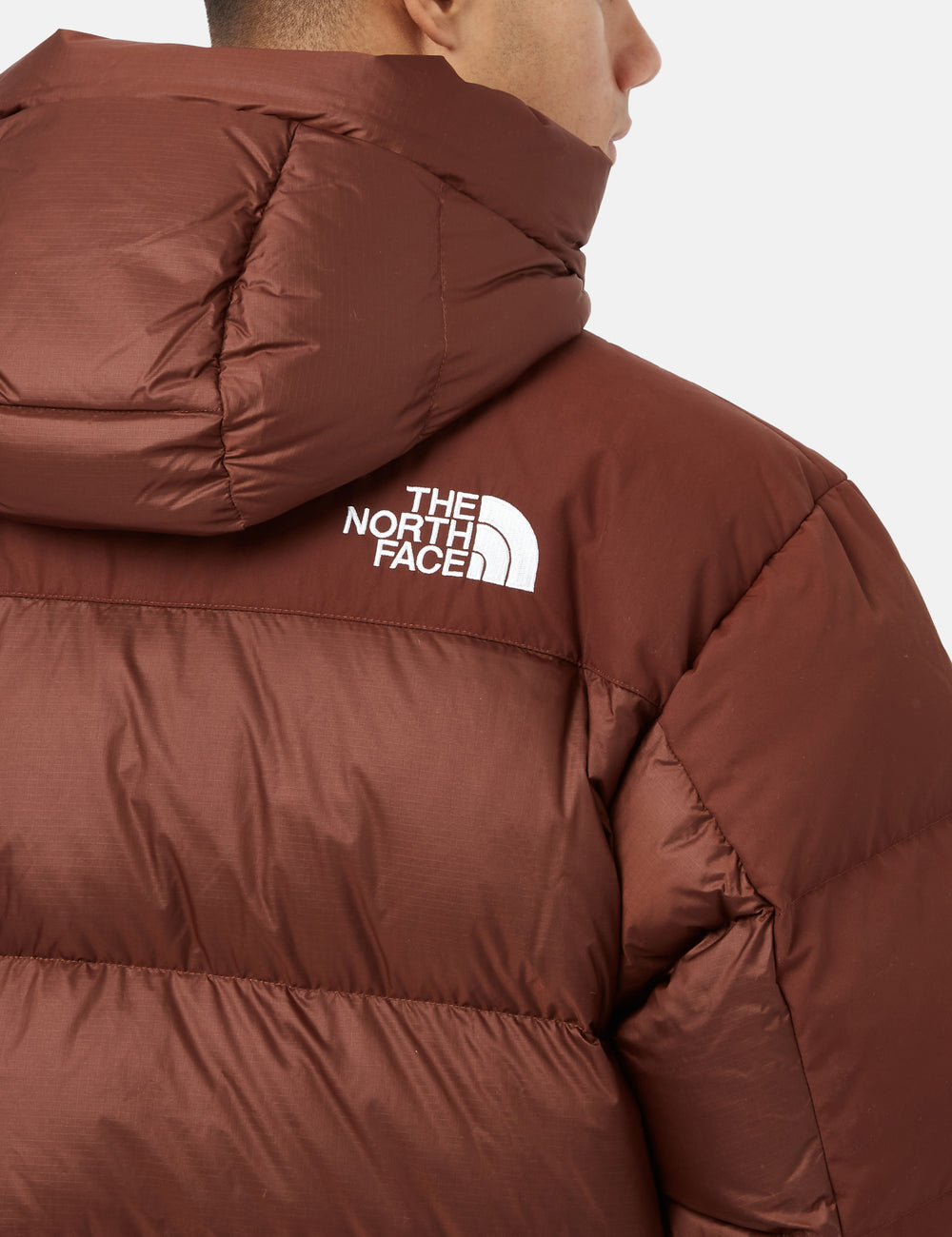 North Face HMLYN Down Parka Jacket - Dark Oak Brown I Urban Excess