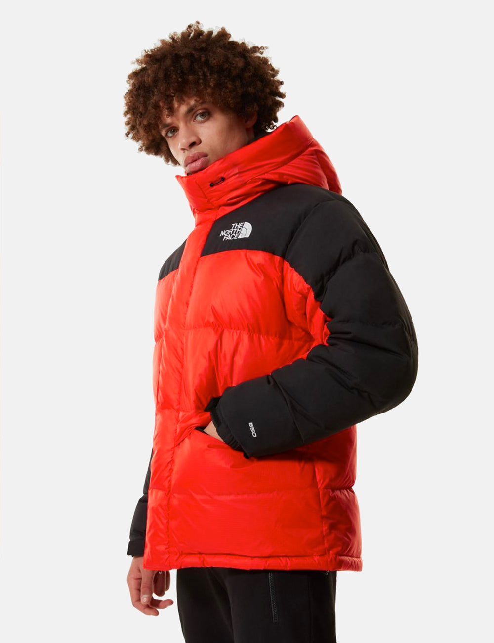 The buy North Face Men's Flare Down 550 Full Zip Vest II, Red, XL